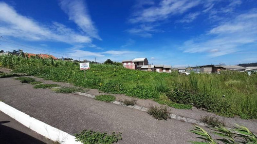 Imagem 3 de 4 de Terreno - Monte Verde - Ref: 8228 - V-8228