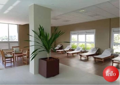 Apartamento - Ref: 213428