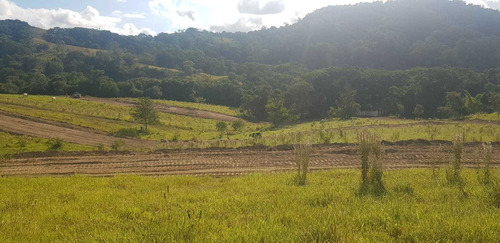 Imagem 21 de 26 de Otima Localização! - Chacara Pronta Incluso Terreno,casa,p