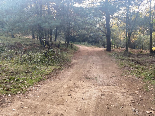 Terreno En Paraje Cuacuametla