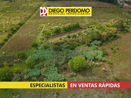 Chacra De 8 Ha En Venta. Montevideo