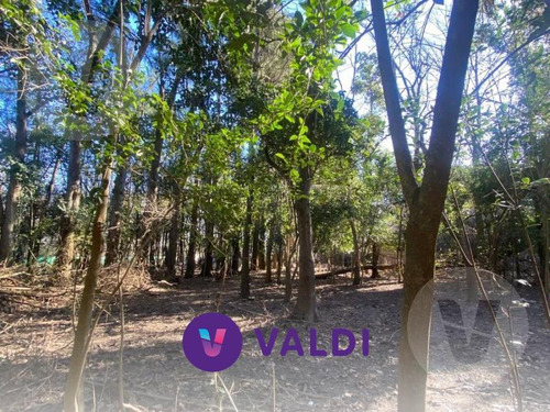 Terreno En Venta - Canning, Chagas Al 4800