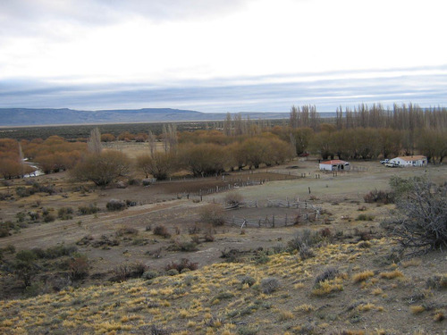 Inmobiliaria Comodoro - Estancia Productiva Próxima A Gobernador Gregores