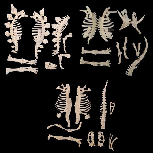Figura Para Armar Nuolux, 3 Piezas 4d Fósil De Esqueleto De