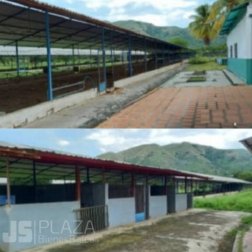 Imagen 6 de 10 de Venta De Granja Avícola/ San Francisco Asís/ 04128859981