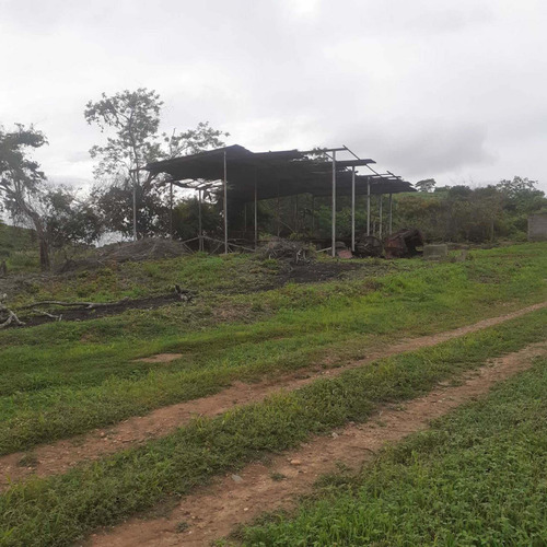 Imagen 14 de 26 de Finca En Venta Vía Cordero El Cuji Ksanchez