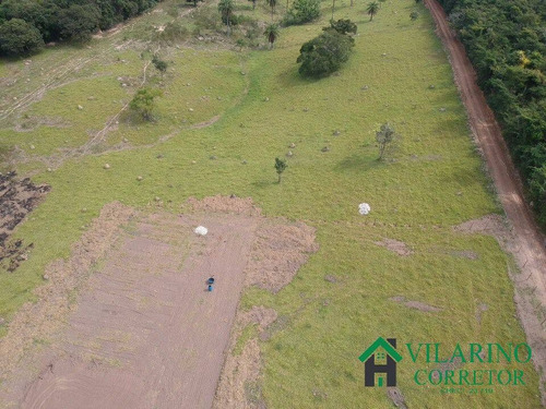 Imagem 6 de 15 de Chácaras Em Florestal - 3337