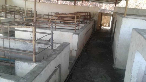 Imagen 5 de 14 de Finca Productiva Para Cria De Porcinos En Parapara De Ortiz