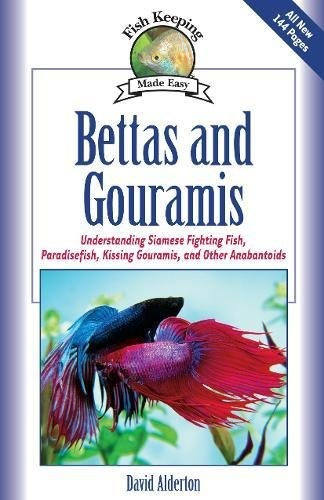 Bettas Y Gouramis Entendiendo A Los Peces Siameses Que Lucha