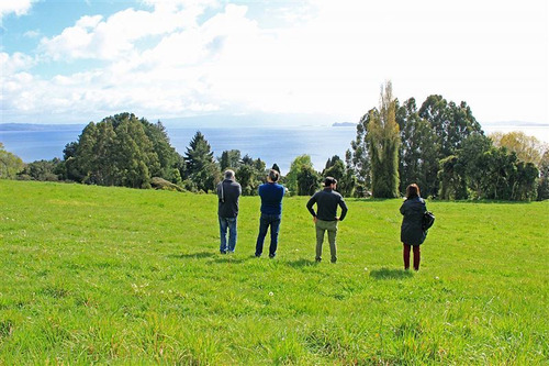 Reserva Del Ranco, Parcelas En Lago Ranco