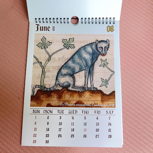 Calendario De Gatos Medievales Extraños 2025 Calendario De G