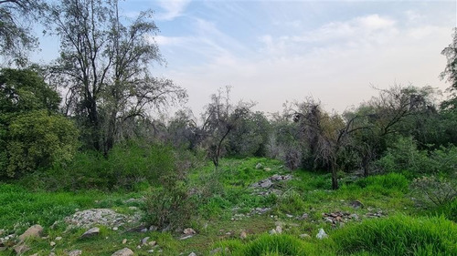 Imagen 3 de 5 de Sitio En Venta En Vitacura Santa María De Manquehue