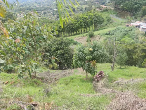 Lote En Girardota Vereda El Limonar
