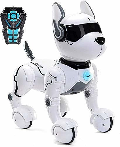 Robot De Juguete De Perro Con Control Remoto, Robots Para Ni