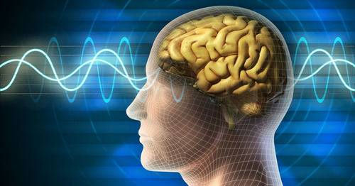 Alpha Brain Nootropico Recupera La Memoria Mas Concentración