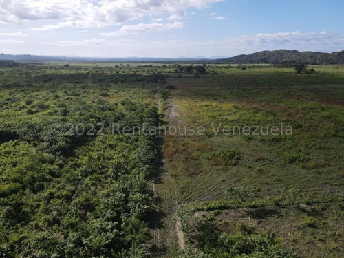 Finca En Venta Sabana De Parra Yaracuy Rah 23-14891 // Invierta Seguro Con Rentahouse//