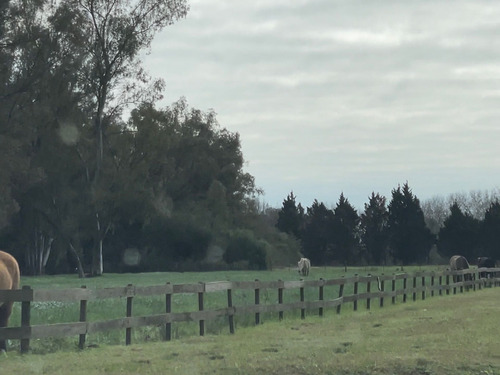 Lote Terreno Lima Zarate Chacras Del Parana