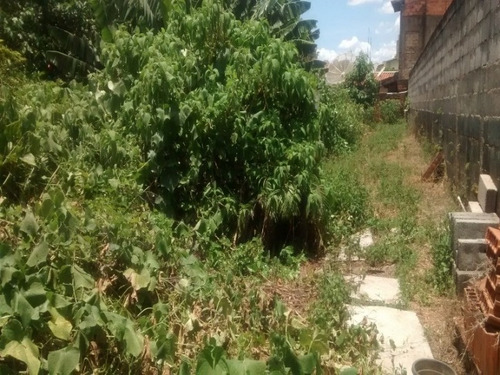 Imagem 2 de 2 de Terreno Bem Localizado - Te00016