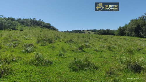 Imagem 9 de 30 de Fazenda A Venda No Bairro Centro Em Canguçu - Rs. - 2495-1