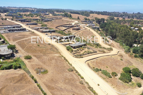 Exclusivo Terreno En Punta De Lobos