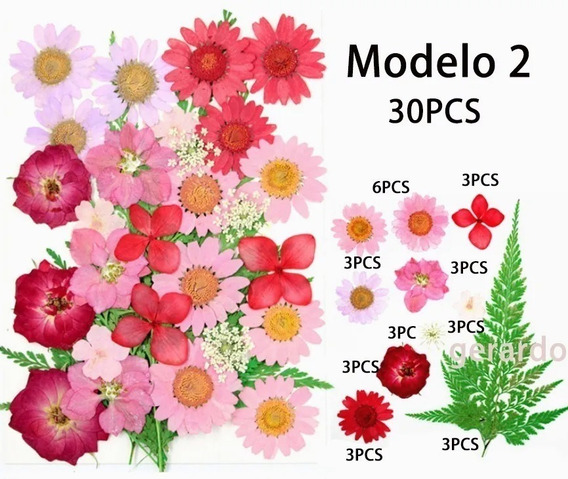 Prensado natural flores secas rosa/Margarita/Larkspur/Myosotis para arte Manualidades 