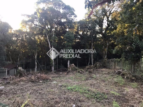 Imagem 7 de 8 de Terreno - - Ref: 50214 - V-50214