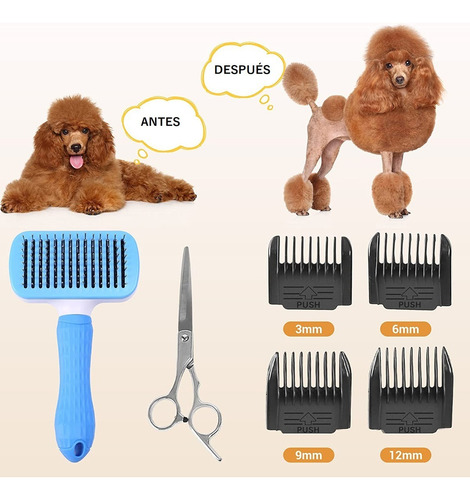 Kit Maquina Cortar Pelo Perro Mascota Accesorios Profesional Color Negra