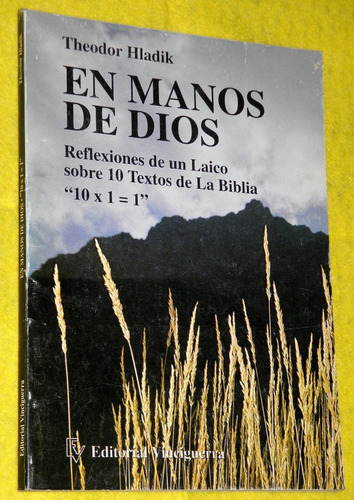 En Manos De Dios - Theodor Hladik - Vinciguerra 