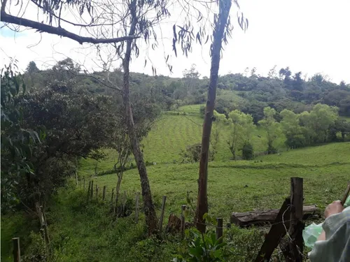 Vendo O Permuto Finca En Junin Cundinamarca