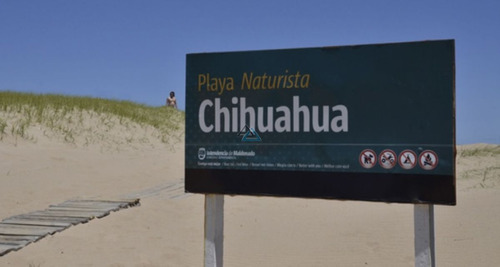 Terreno En Punta Ballena, Chihuahua