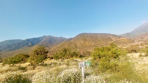 Agrícola 5.000m2 En Venta En Olmué