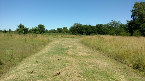 Imagen 11 de 14 de Vendo Lotes Ph En Navarro