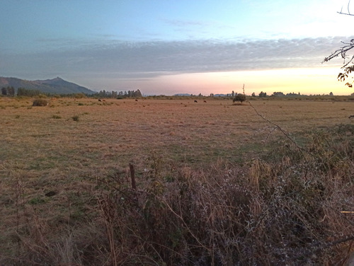 Terreno Agrícola, Campo De 31,3 Ha En Río Claro, Venta