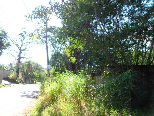 Terreno Residencial À Venda, Sousas, Campinas. - Te3813