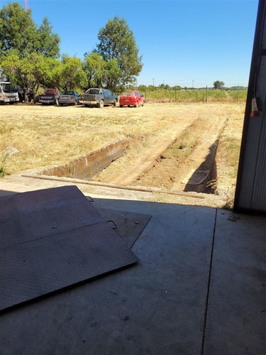 Imagen 7 de 18 de Agrícola En Venta En Ñiquén
