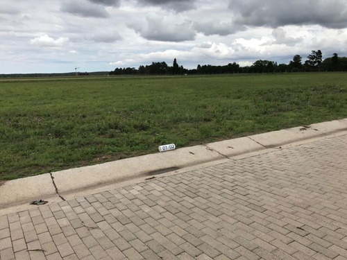 Imagen 6 de 6 de Vendo Lotes En Acquavista.