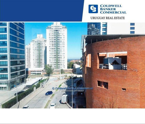 Imagen 2 de 2 de Local Comercial Pocitos Alquiler
