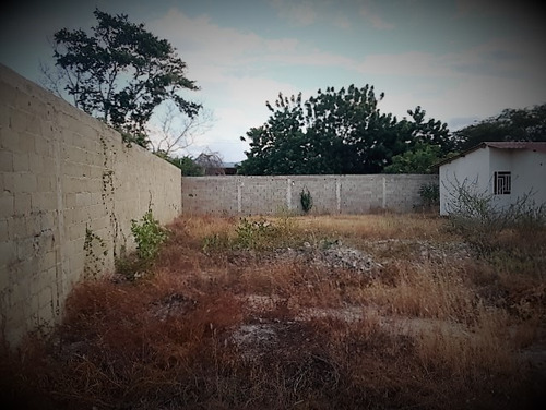 Imagen 4 de 9 de Parcela 245 M2 Urb. Villa Alejandria Av. Cancamure