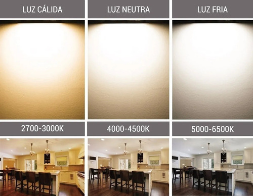 Cinta Led Luz Amarilla Neutra Blanca Ip65 + Fuente 10a 12v