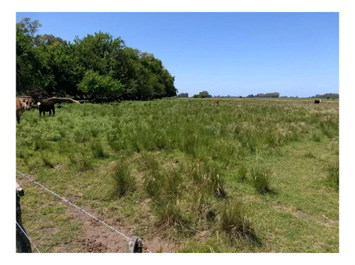 Imagen 9 de 9 de Campo En Venta - 296ha - Magdalena