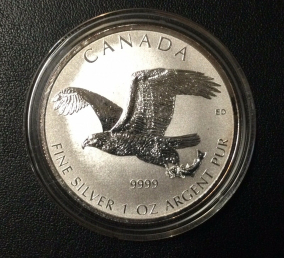 20 X 1/4 Onza Cobre 999 Medalla Águila Cabeza EE.UU Águilas de Blanca 