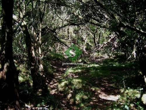 Venta De Chara En Los Caracoles Maldonado, Linda Chacra Cerca De Punta Del Este. - Ref: 166822