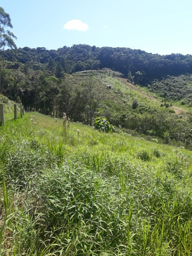 Imagem 14 de 18 de Terreno - 407 - 69476279