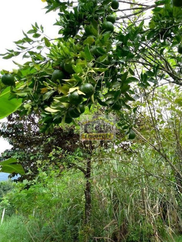 Imagem 28 de 30 de Chácara Com 3 Dormitórios À Venda, 3500 M² Por R$ 290.000,00 - Três Barras - Pedro De Toledo/sp - Ch0135