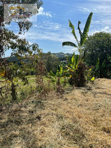 Imagem 8 de 9 de Terreno Em Loteamento Aberto Em Bairro Da Estrada Nova - Pinhalzinho - 1532
