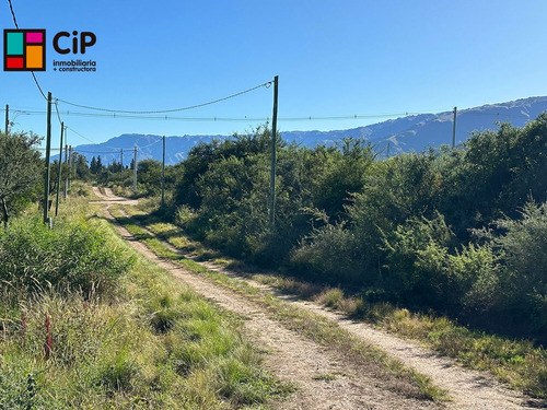 Venta De Lote Centrico En Cortaderas