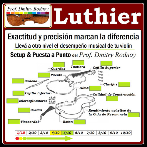 Setup Puesta A Punto X Luthier - Violín - Prof Dmitry Rodnoy (Usado)