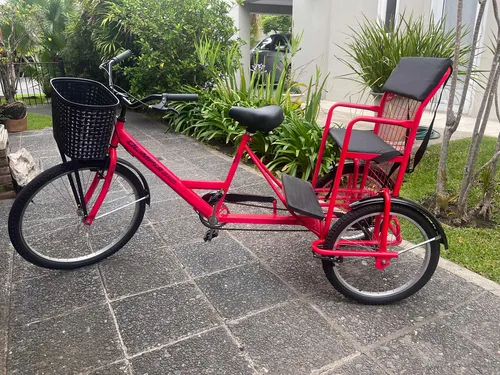 Bicicleta triciclo online rodado 26