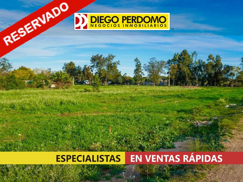 Terrenos, En Venta, Playa Pascual