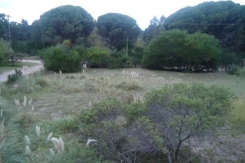 Imagen 3 de 8 de Excelente Lote A Nivel- Muy Lindo Entorno- 15x30 Mas Espacio Verde-